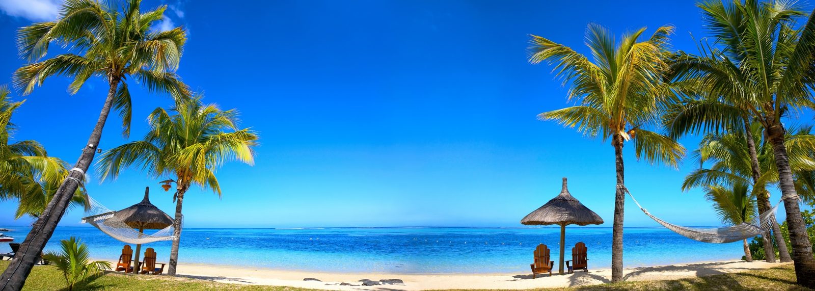 Palm-lined tropical beach